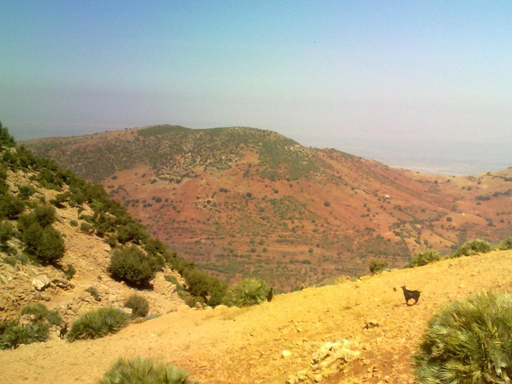 Maison D'Hotes Ait Bou Izryane Timoulilt Luaran gambar